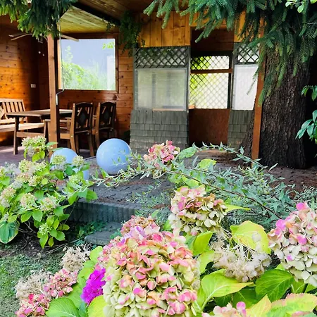 Center Apartment Bludenz